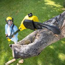 Best Artificial Turf Installation  in Wakefield, NE