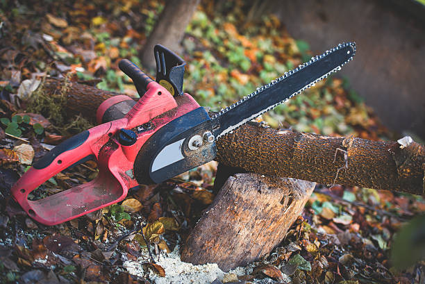 Best Lawn Maintenance Plans  in Wakefield, NE